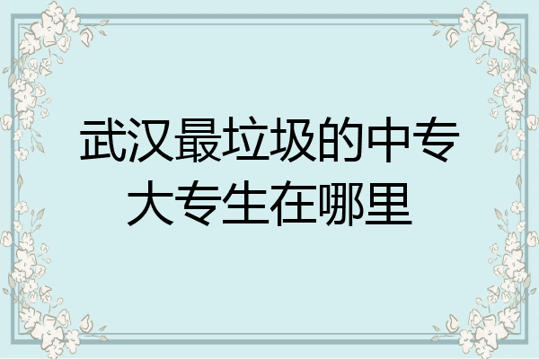 武汉最垃圾的中专大专生在哪里