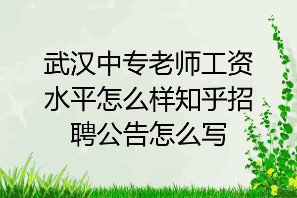 武汉中专老师工资水平怎么样知乎招聘公告怎么写