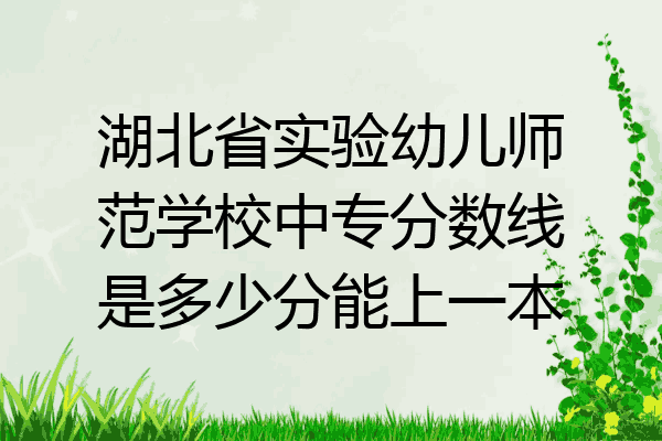 湖北省实验幼儿师范学校中专分数线是多少分能上一本