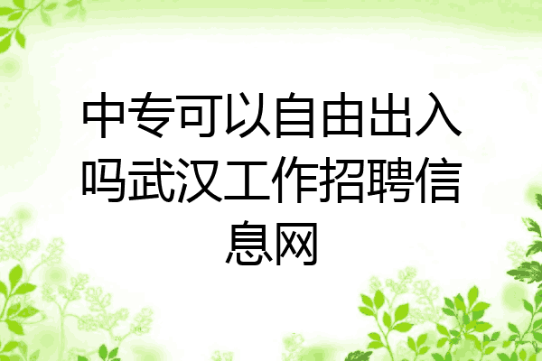 中专可以自由出入吗武汉工作招聘信息网