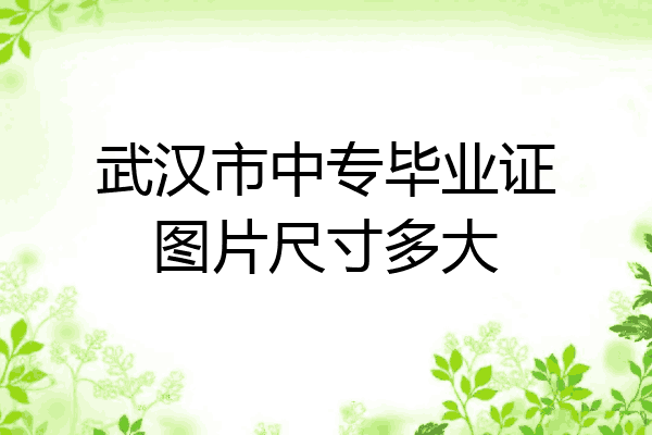 武汉市中专毕业证图片尺寸多大