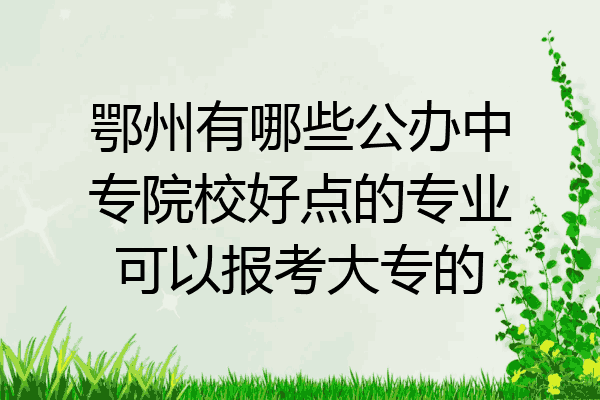 鄂州有哪些公办中专院校好点的专业可以报考大专的