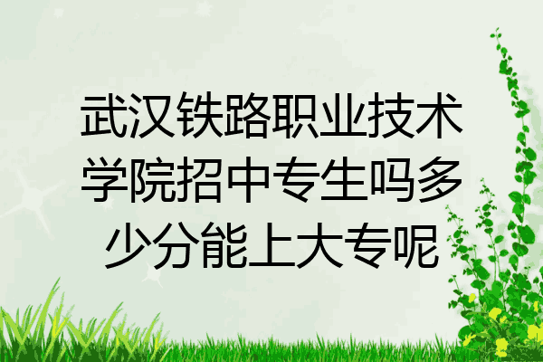武汉铁路职业技术学院招中专生吗多少分能上大专呢