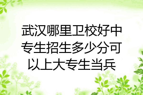 武汉哪里卫校好中专生招生多少分可以上大专生当兵