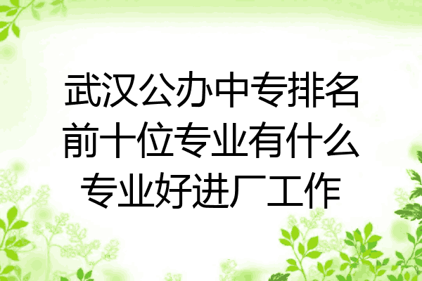 武汉公办中专排名前十位专业有什么专业好进厂工作