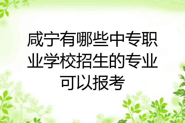 咸宁有哪些中专职业学校招生的专业可以报考