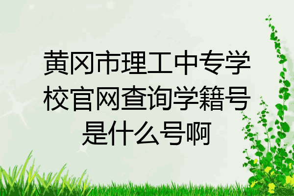 黄冈市理工中专学校官网查询学籍号是什么号啊