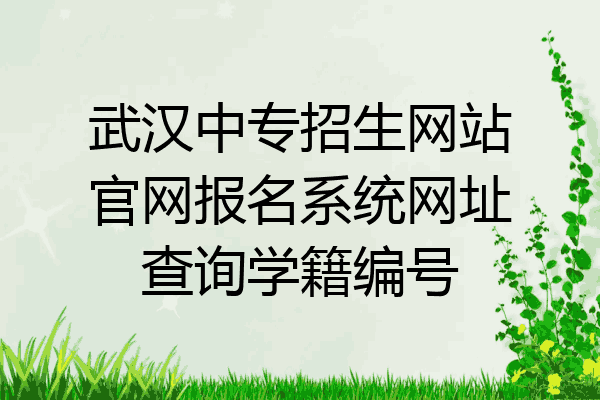 武汉中专招生网站官网报名系统网址查询学籍编号