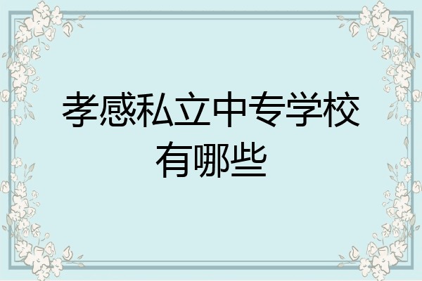 孝感私立中专学校有哪些
