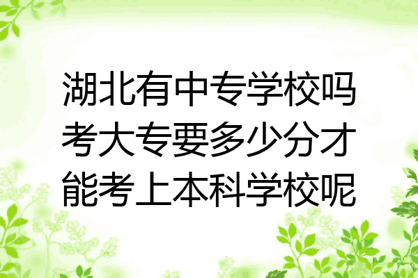 湖北有中专学校吗考大专要多少分才能考上本科学校呢