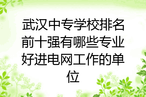 武汉中专学校排名前十强有哪些专业好进电网工作的单位