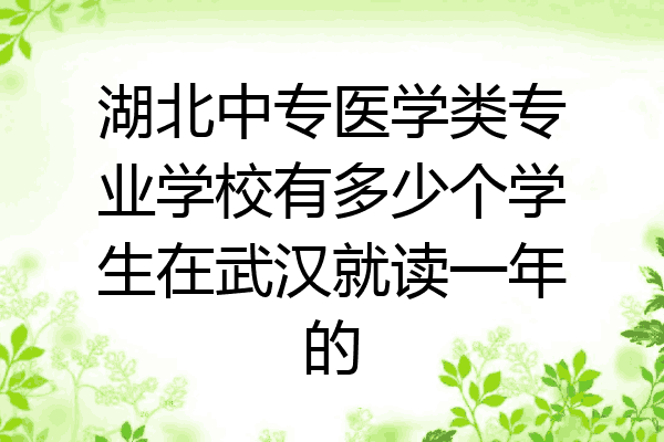 湖北中专医学类专业学校有多少个学生在武汉就读一年的
