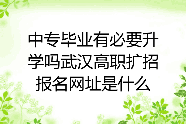 中专毕业有必要升学吗武汉高职扩招报名网址是什么