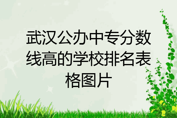 武汉公办中专分数线高的学校排名表格图片