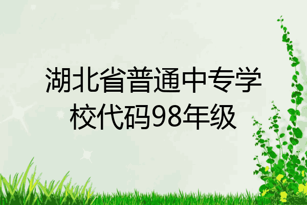 湖北省普通中专学校代码98年级