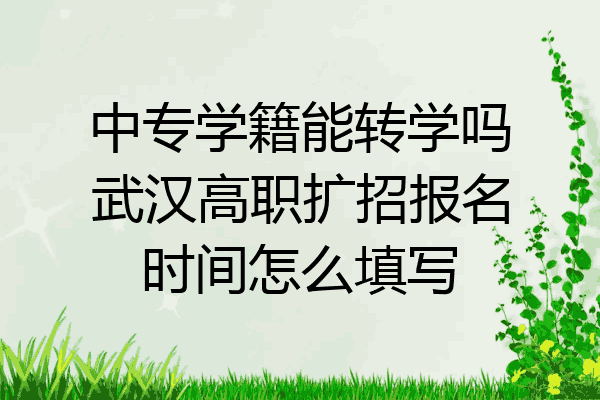 中专学籍能转学吗武汉高职扩招报名时间怎么填写