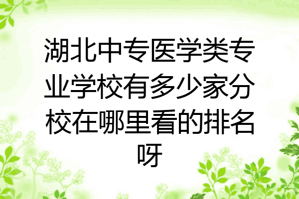 湖北中专医学类专业学校有多少家分校在哪里看的排名呀