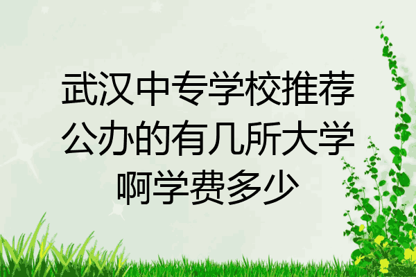 武汉中专学校推荐公办的有几所大学啊学费多少