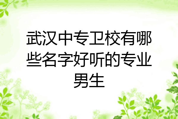 武汉中专卫校有哪些名字好听的专业男生