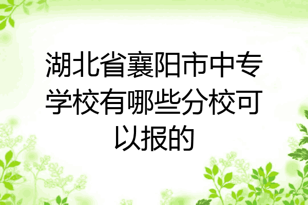 湖北省襄阳市中专学校有哪些分校可以报的