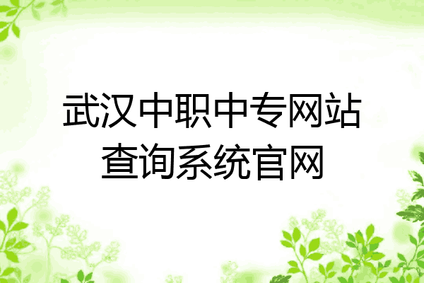 武汉中职中专网站查询系统官网