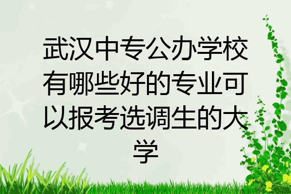 武汉中专公办学校有哪些好的专业可以报考选调生的大学