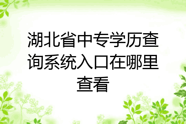 湖北省中专学历查询系统入口在哪里查看