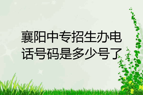 襄阳中专招生办电话号码是多少号了