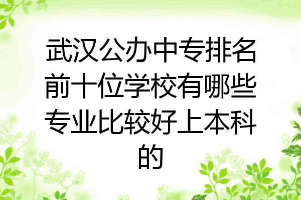 武汉公办中专排名前十位学校有哪些专业比较好上本科的