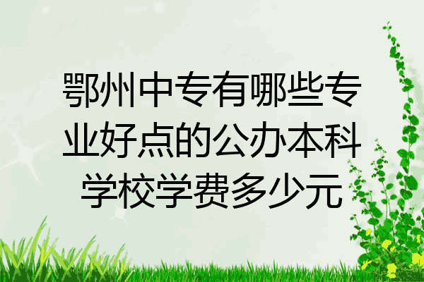 鄂州中专有哪些专业好点的公办本科学校学费多少元