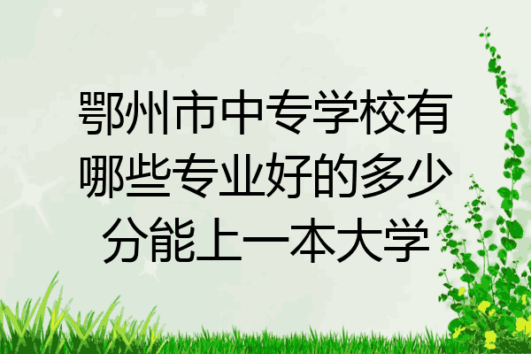 鄂州市中专学校有哪些专业好的多少分能上一本大学