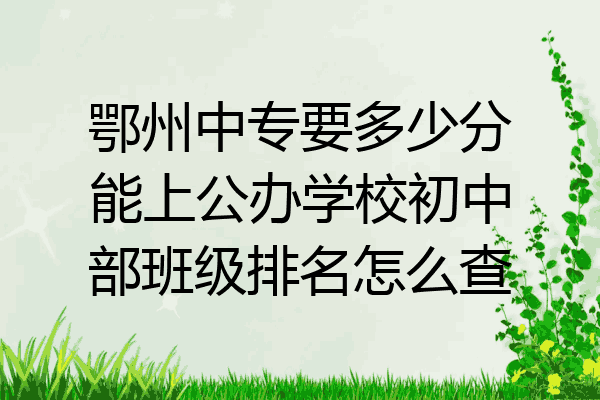 鄂州中专要多少分能上公办学校初中部班级排名怎么查