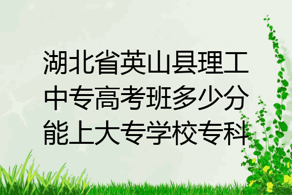 湖北省英山县理工中专高考班多少分能上大专学校专科