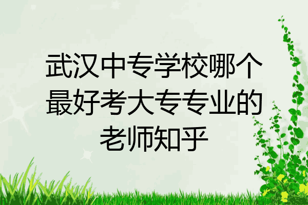 武汉中专学校哪个最好考大专专业的老师知乎
