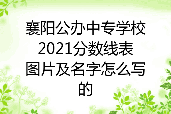 襄阳公办中专学校2021分数线表图片及名字怎么写的