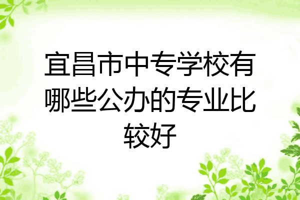 宜昌市中专学校有哪些公办的专业比较好