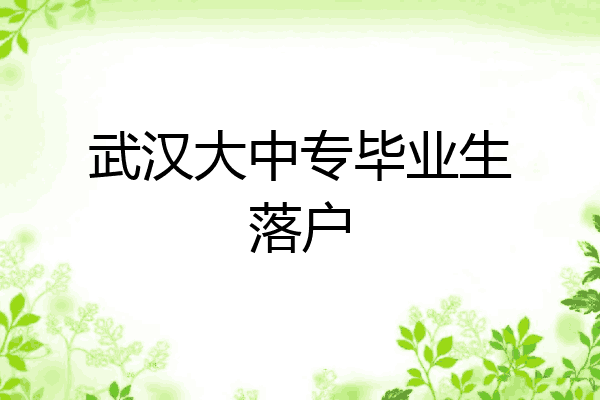 武汉大中专毕业生落户