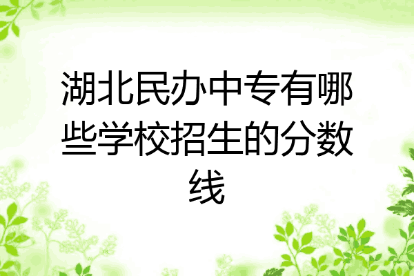 湖北民办中专有哪些学校招生的分数线