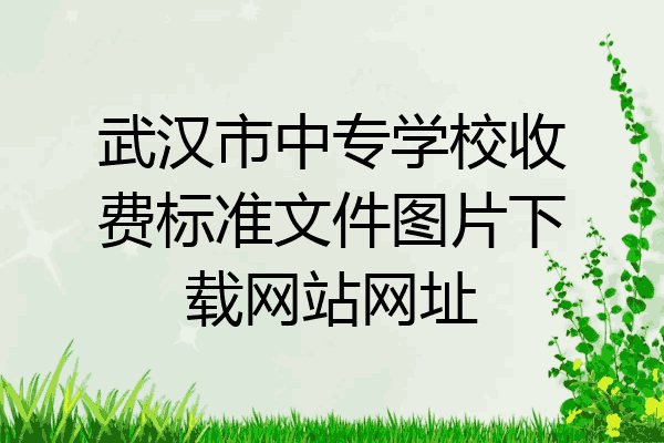 武汉市中专学校收费标准文件图片下载网站网址