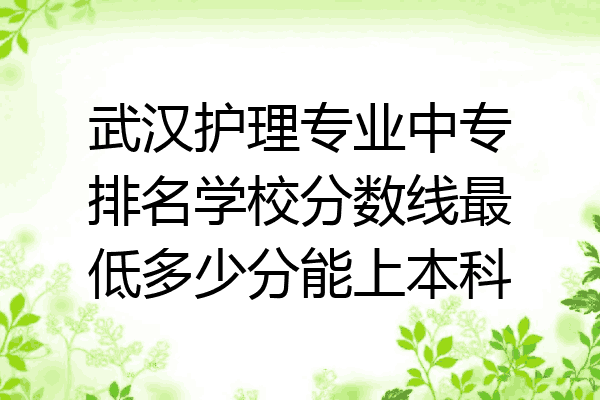 武汉护理专业中专排名学校分数线最低多少分能上本科
