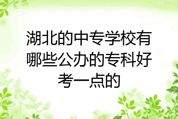 湖北的中专学校有哪些公办的专科好考一点的
