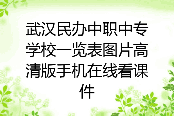 武汉民办中职中专学校一览表图片高清版手机在线看课件