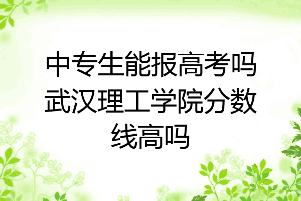 中专生能报高考吗武汉理工学院分数线高吗