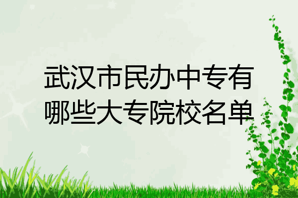 武汉市民办中专有哪些大专院校名单