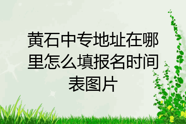 黄石中专地址在哪里怎么填报名时间表图片
