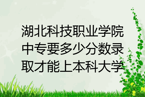 湖北科技职业学院中专要多少分数录取才能上本科大学