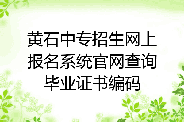 黄石中专招生网上报名系统官网查询毕业证书编码
