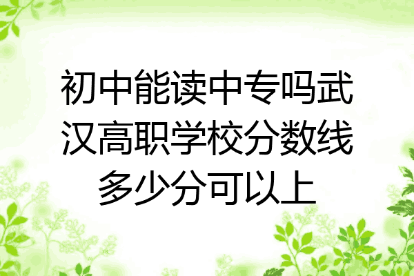 初中能读中专吗武汉高职学校分数线多少分可以上