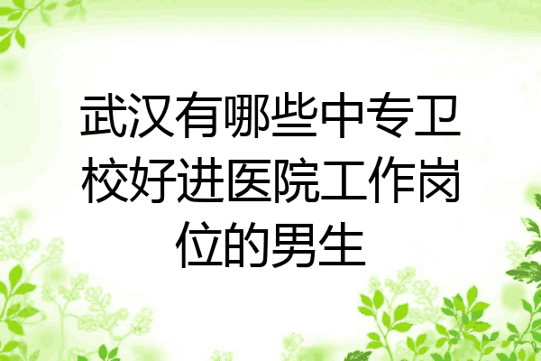 武汉有哪些中专卫校好进医院工作岗位的男生