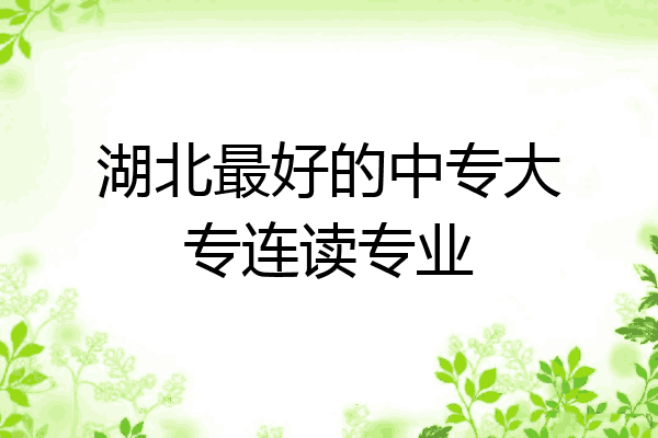 湖北最好的中专大专连读专业